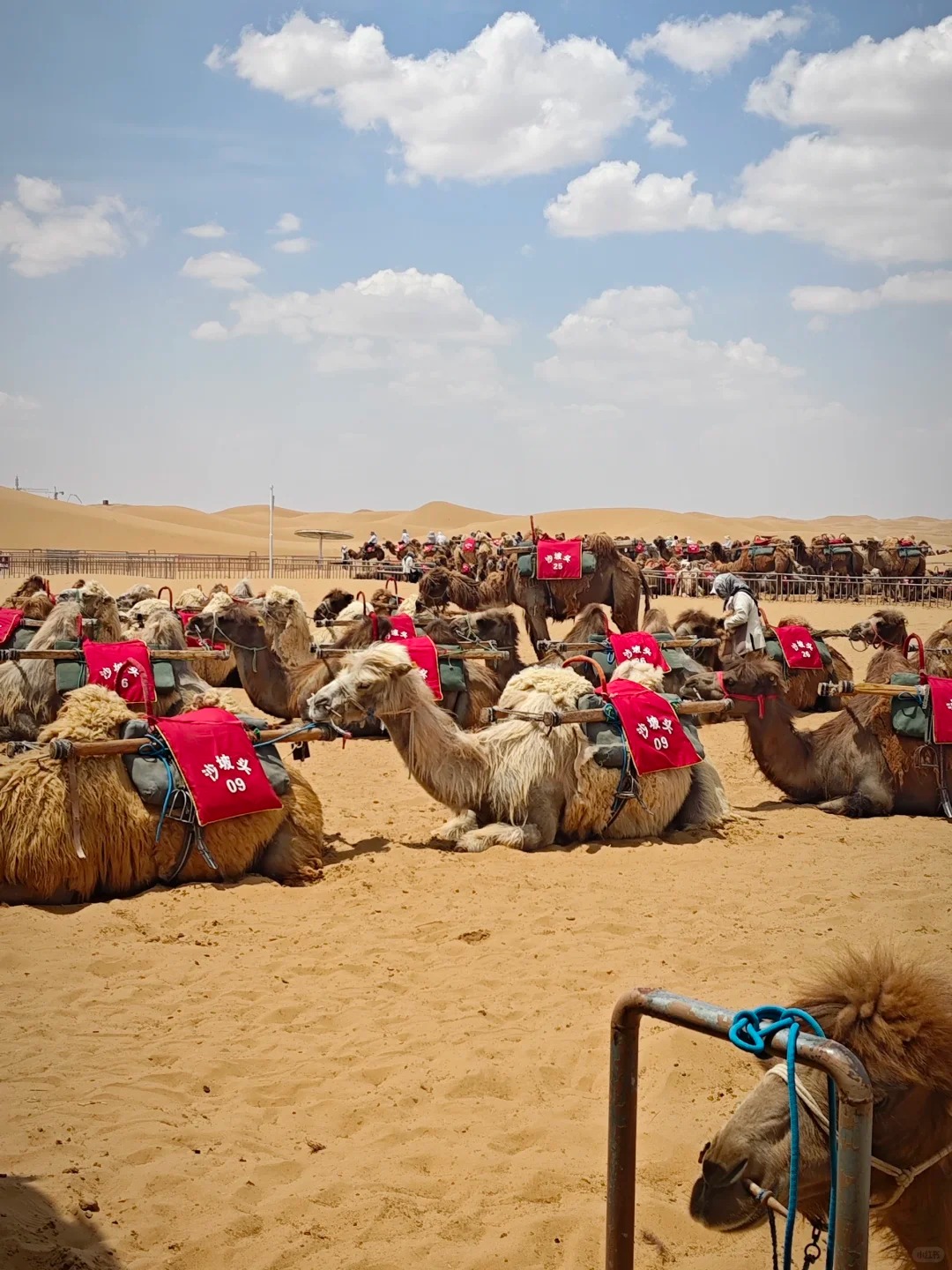 Desert and Yellow River scenery in Ningxia, China