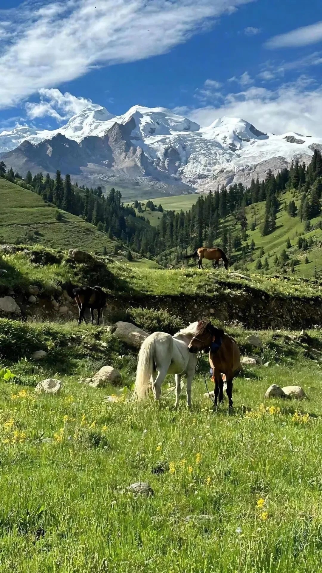 Mountain, grassland and desert scenery in Xinjiang, China