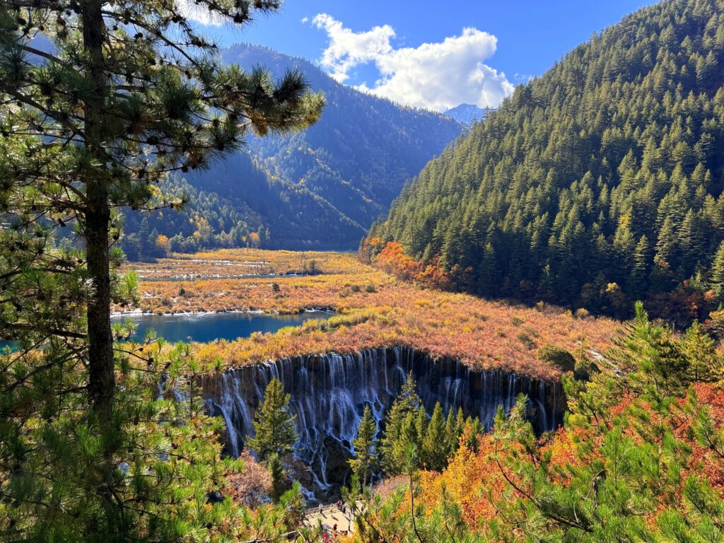 6-Day Chengdu & Jiuzhaigou Muslim-Friendly Private Tour